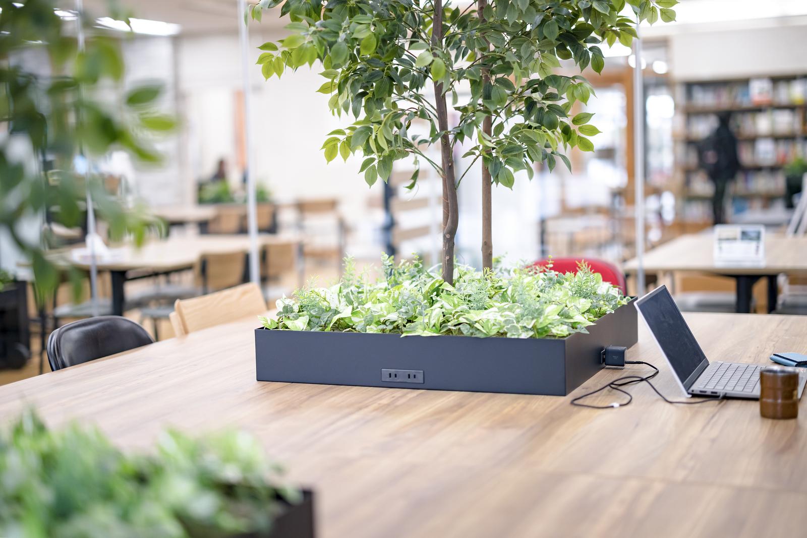 観葉植物とノートパソコンが置かれた明るいデスク