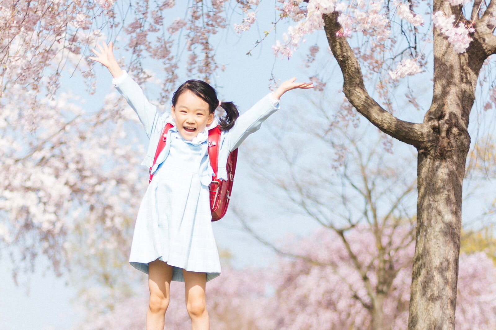 桜の下、ランドセルを背負った女の子